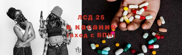 дживик Новозыбков