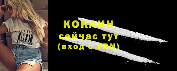 эйфоретик Новодвинск