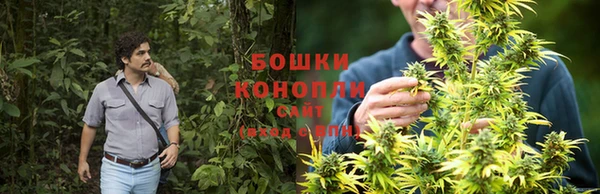 эйфоретик Новодвинск