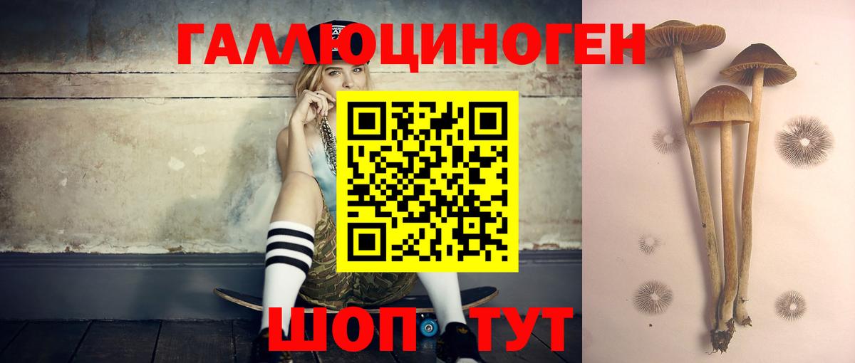 Псилоцибиновые грибы MAGIC MUSHROOMS  Вход с VPN  Алейск  Галлюциногенные грибы прущие грибы 